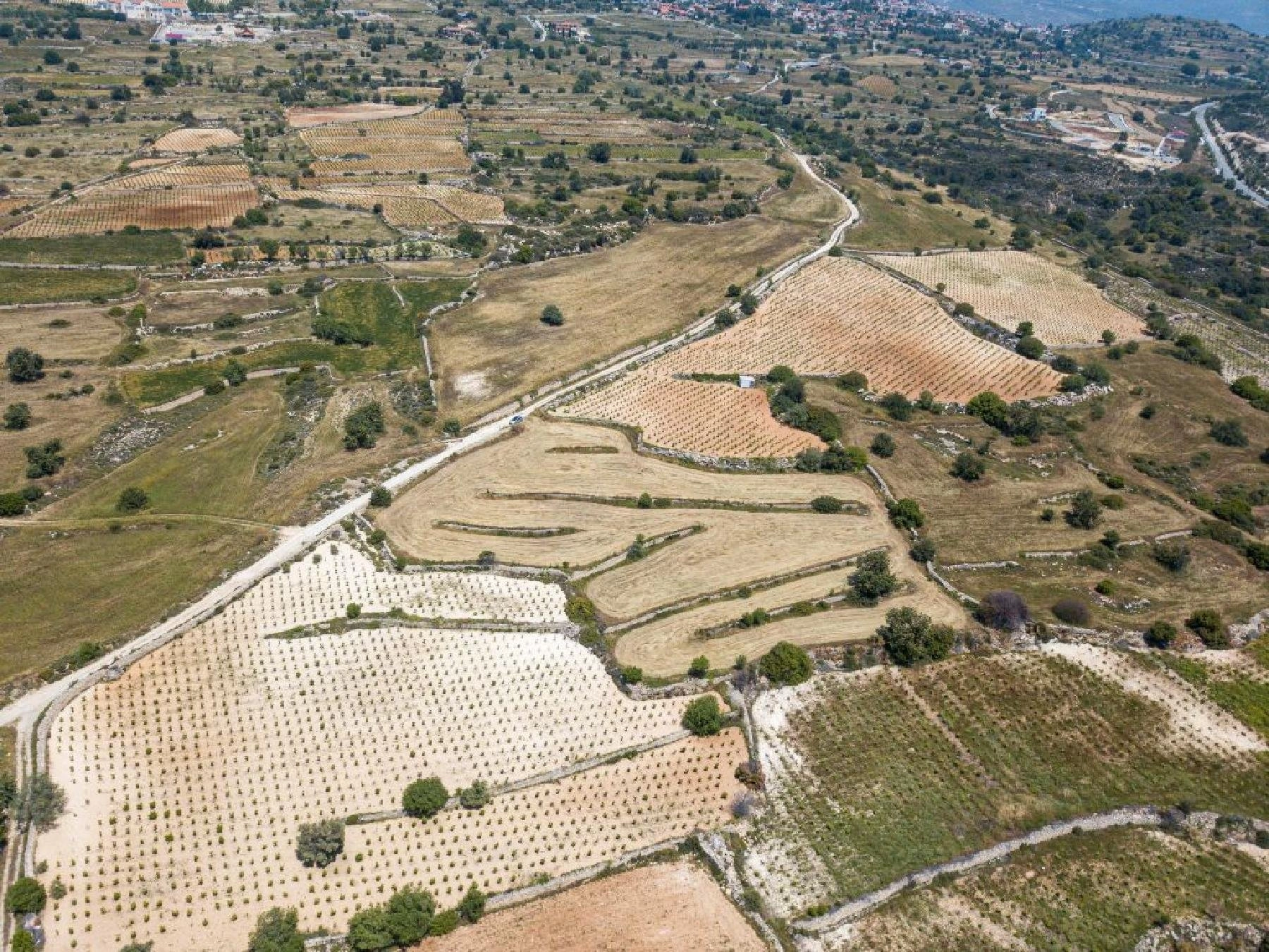 9,709m² Plot for Sale in Pachna, Limassol District