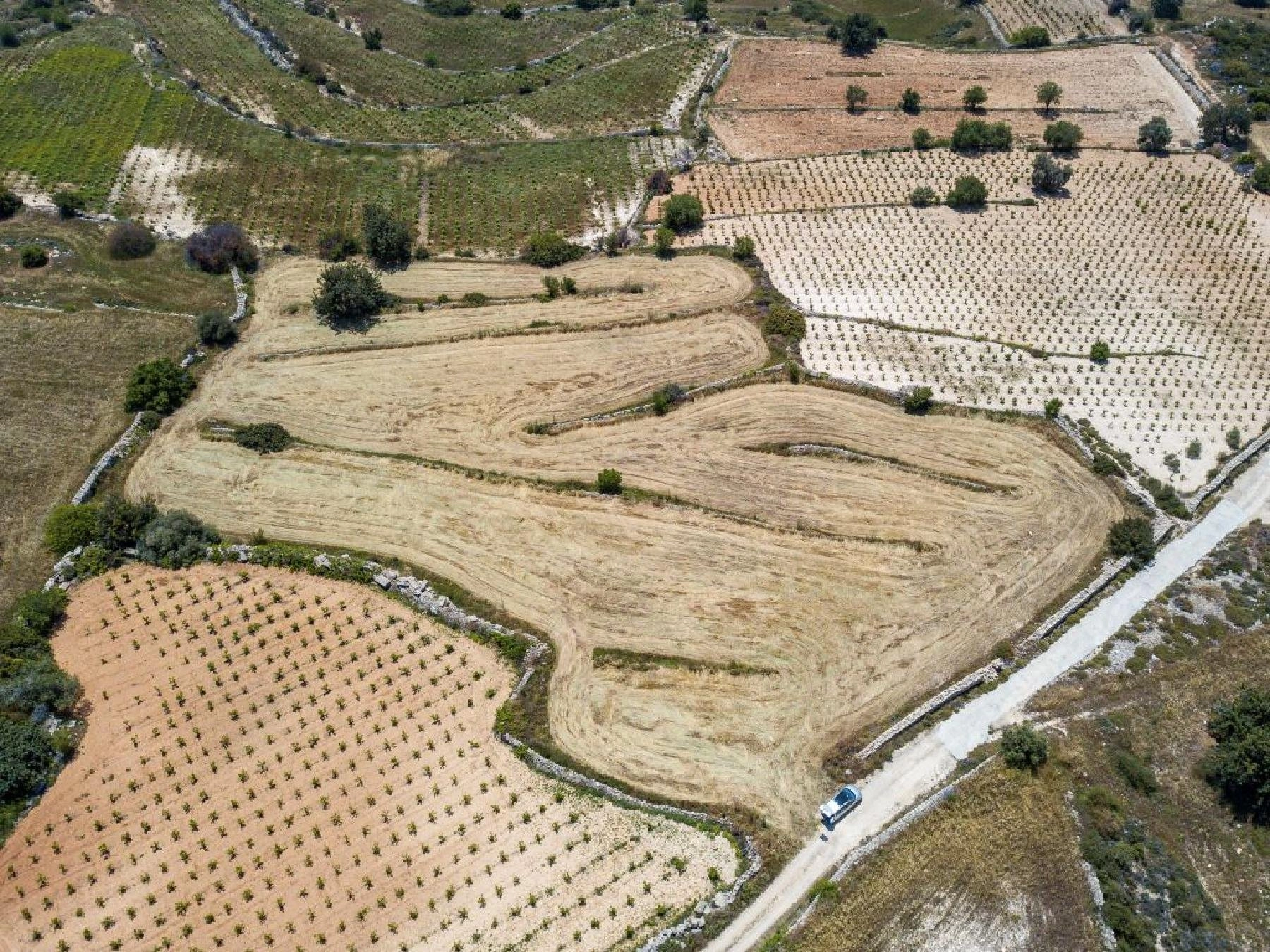 9,709m² Plot for Sale in Pachna, Limassol District