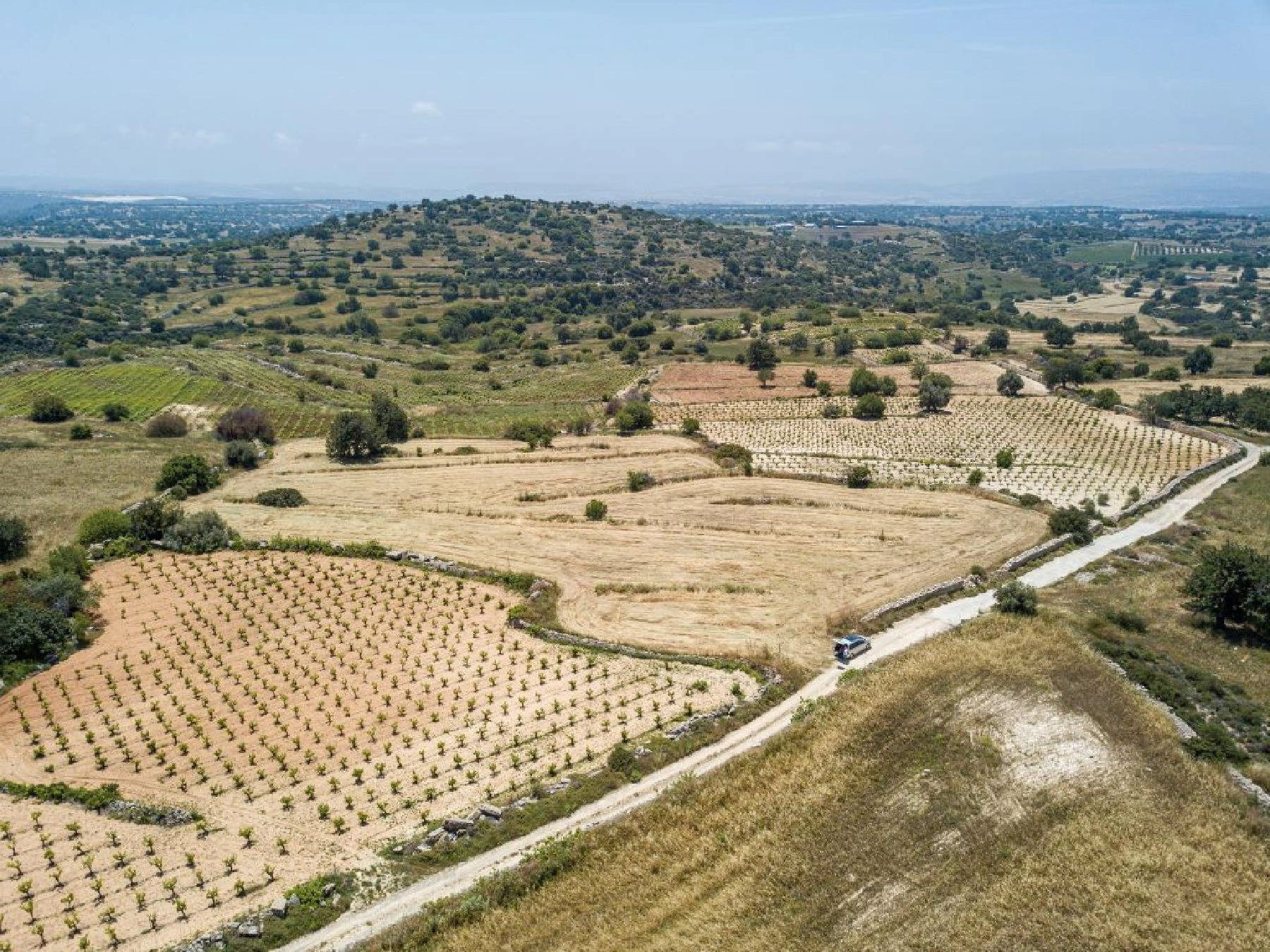 9,709m² Plot for Sale in Pachna, Limassol District