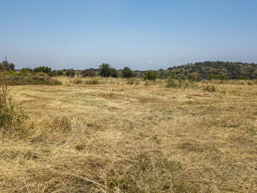9,709m² Plot for Sale in Pachna, Limassol District