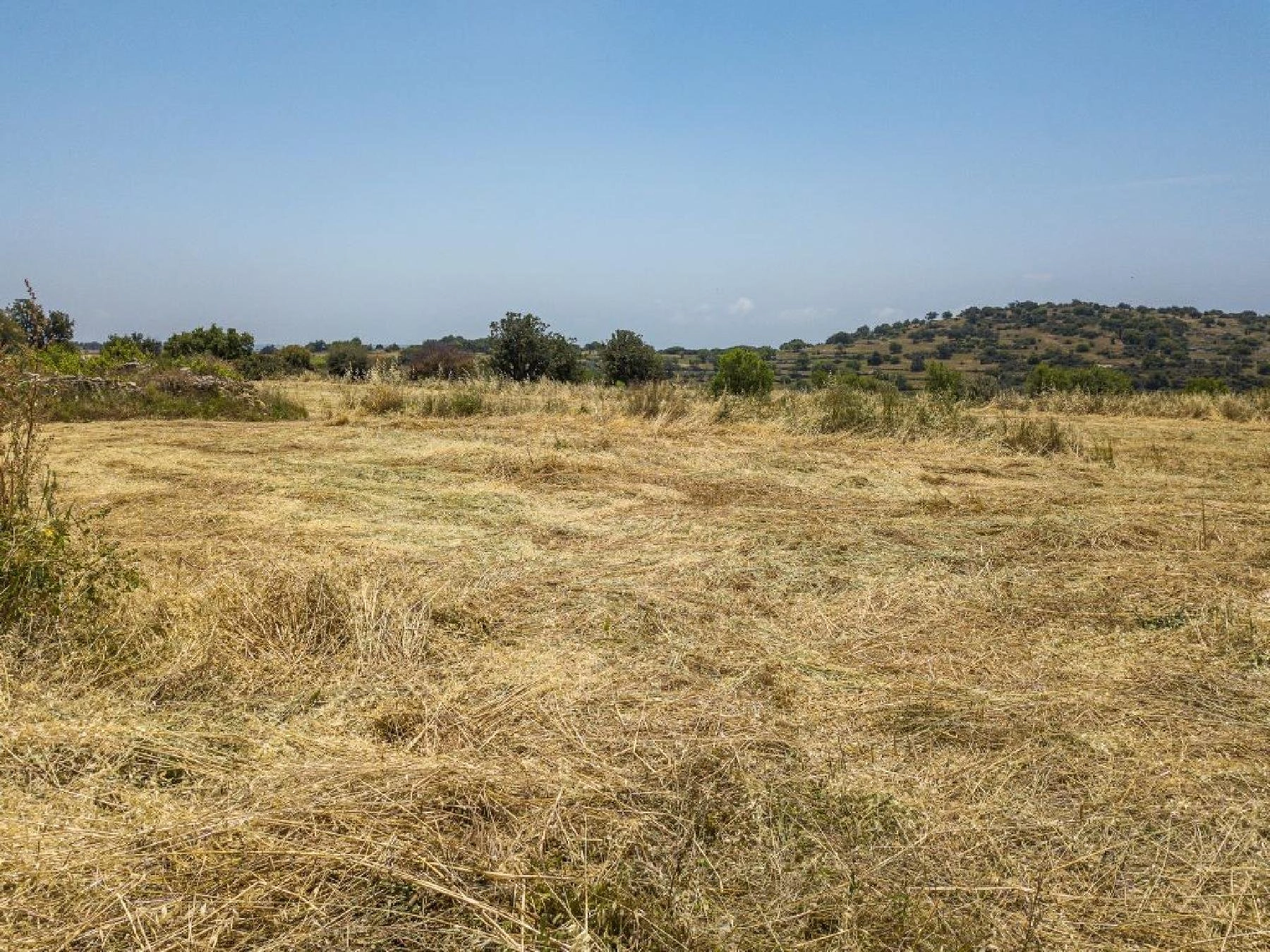 9,709m² Plot for Sale in Pachna, Limassol District