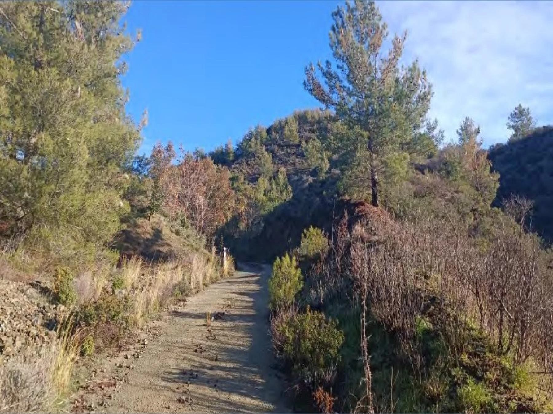 25,753m² Plot for Sale in Kato Platres, Limassol District