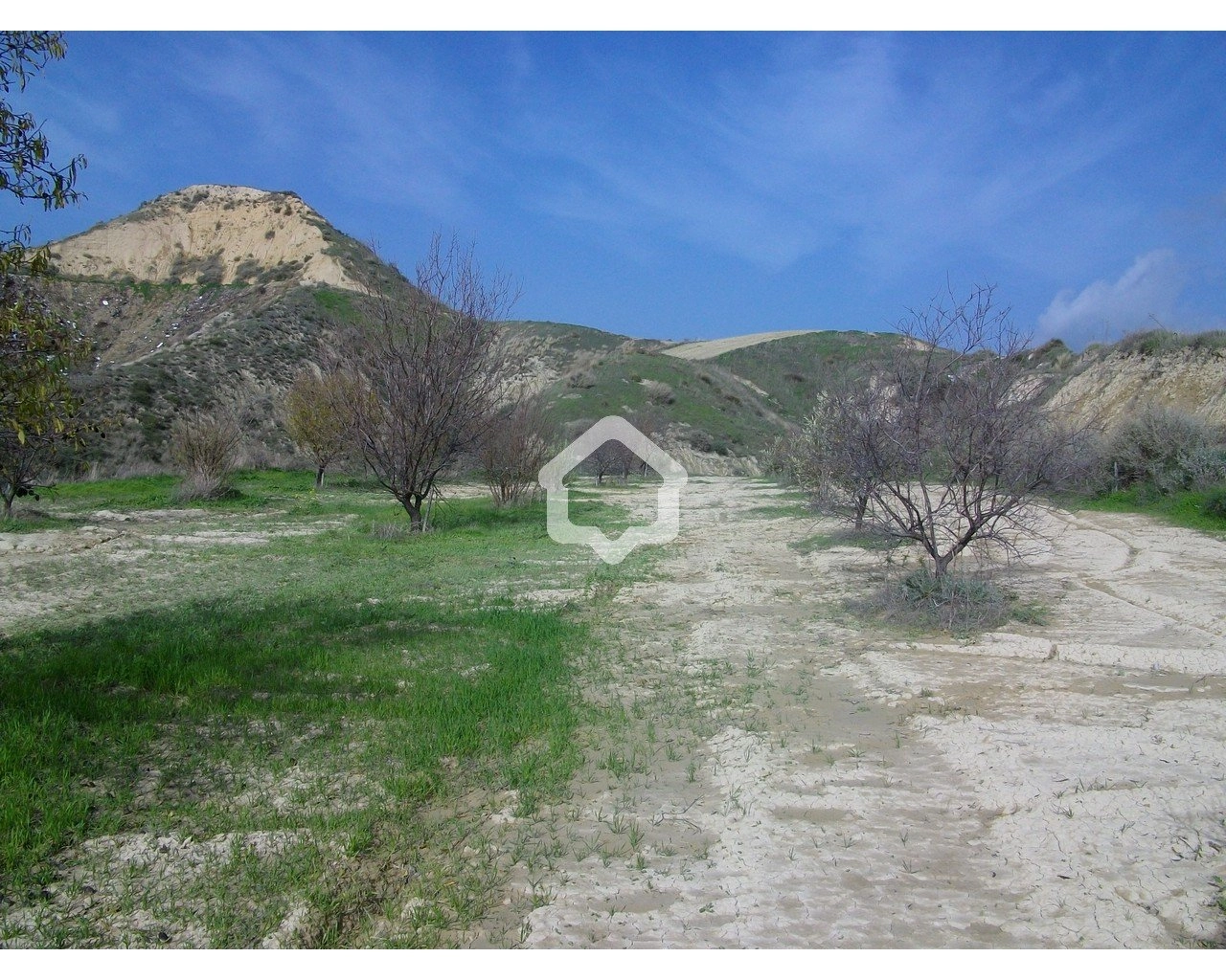 13,378m² Plot for Sale in Simou, Paphos District