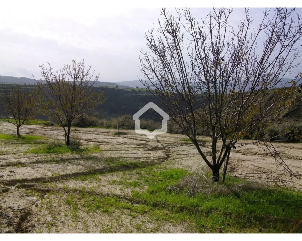 13,378m² Plot for Sale in Simou, Paphos District