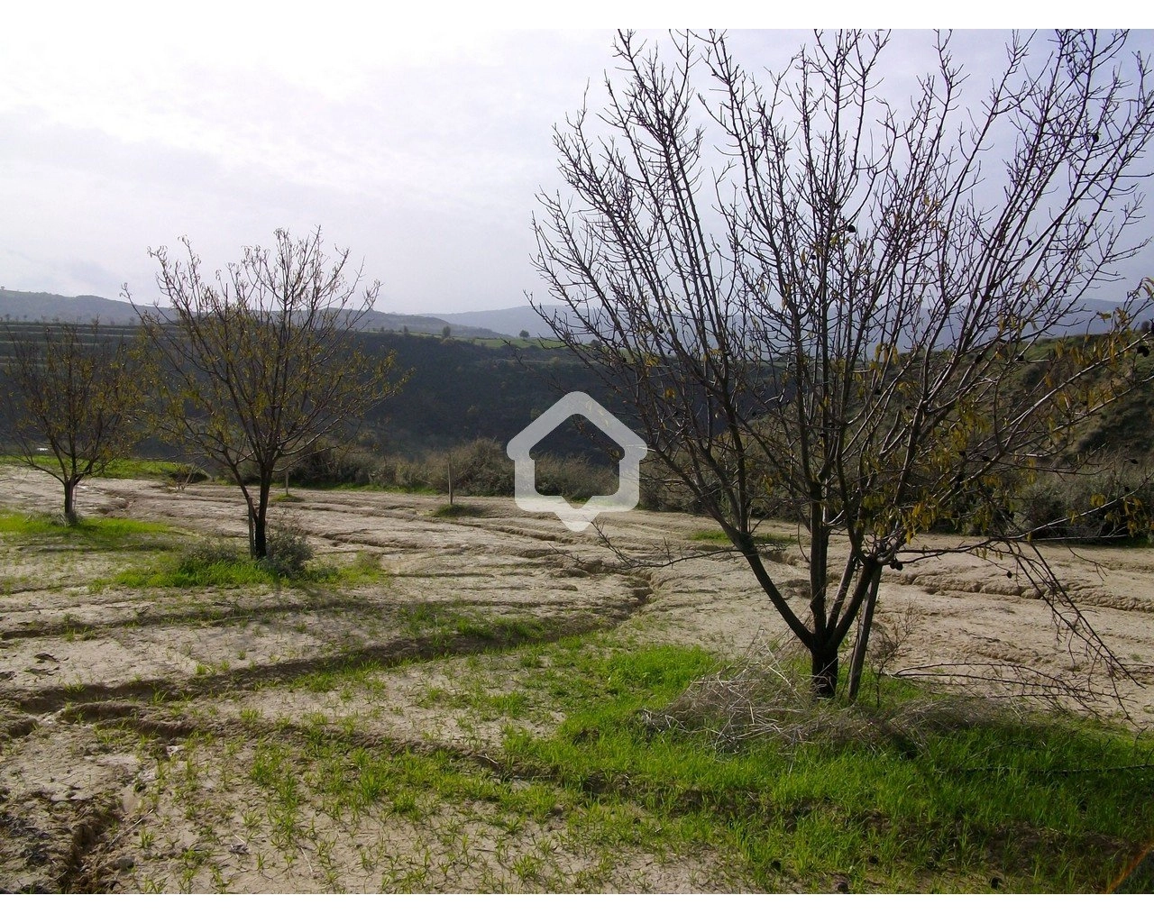 13,378m² Plot for Sale in Simou, Paphos District