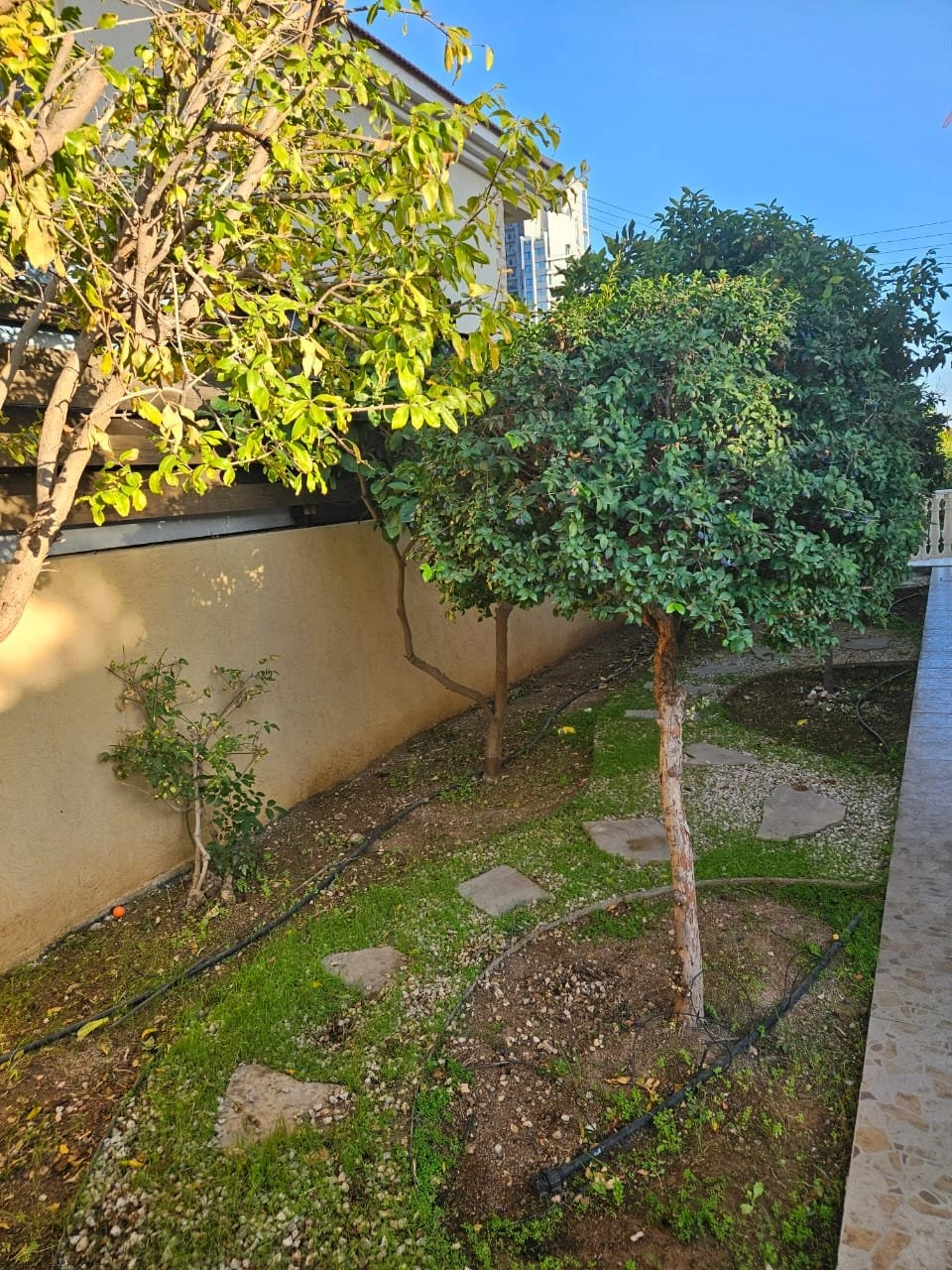 6+ Bedroom House for Rent in Potamos Germasogeias, Limassol District