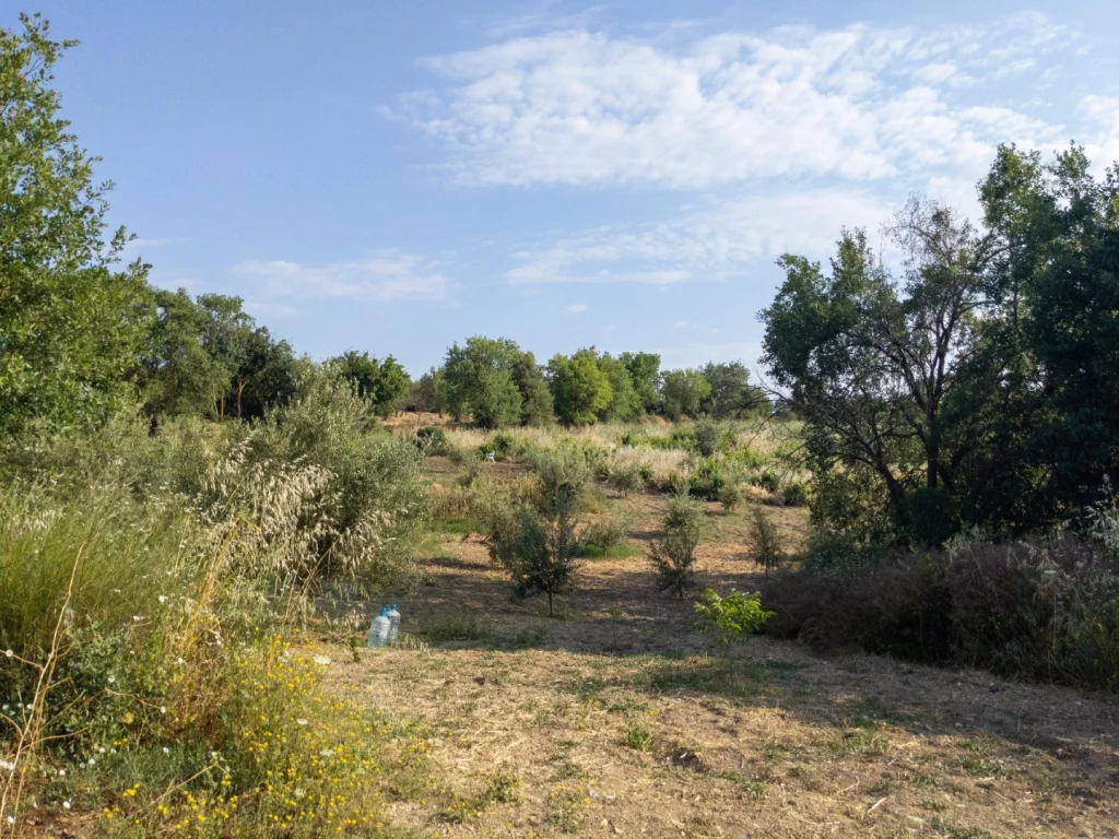 3,512m² Plot for Sale in Giolou, Paphos District
