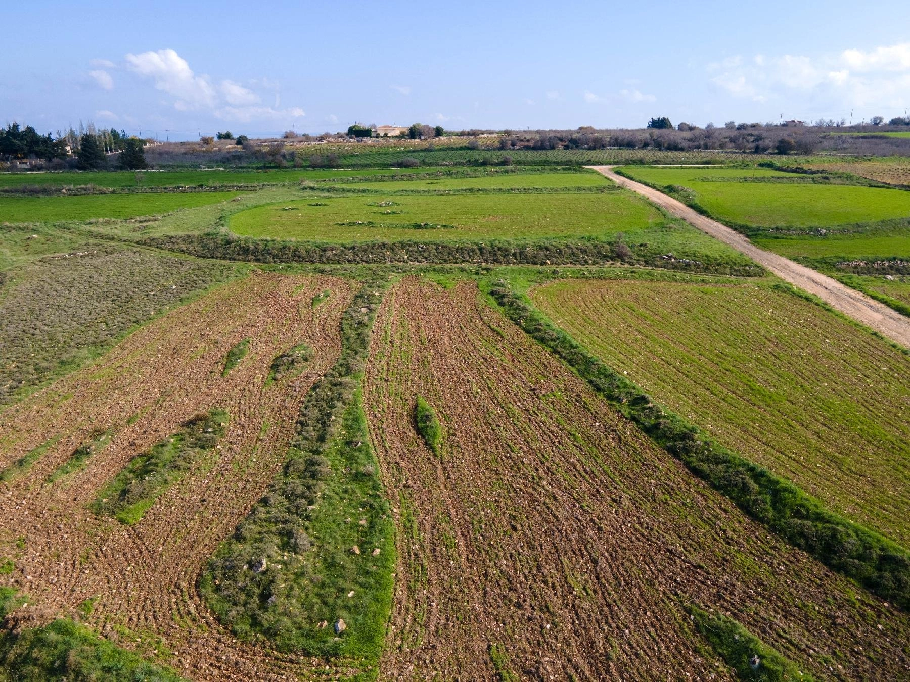 6,958m² Plot for Sale in Paphos District