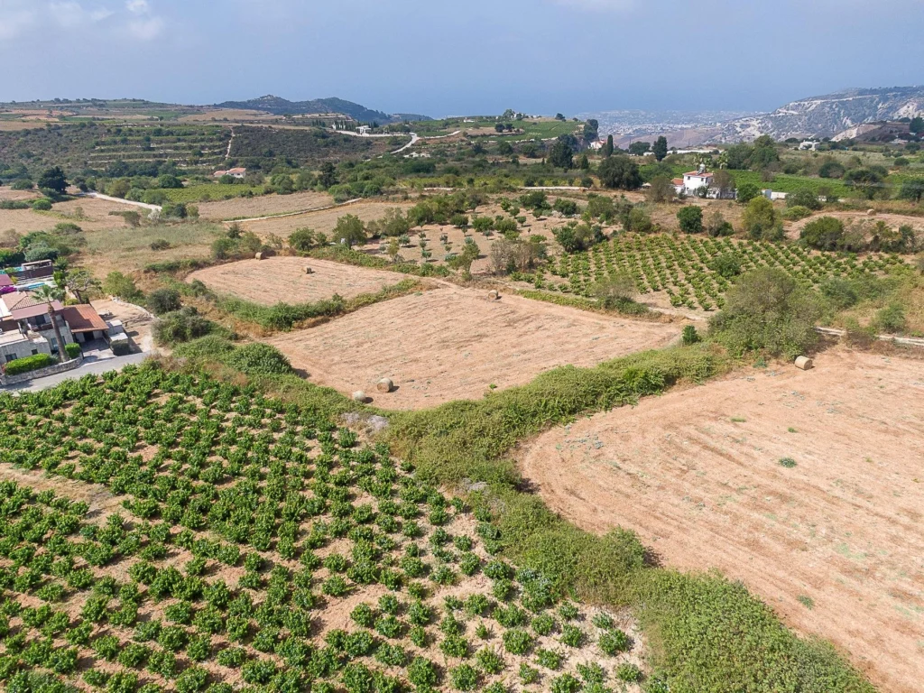 2,490m² Plot for Sale in Kathikas, Paphos District