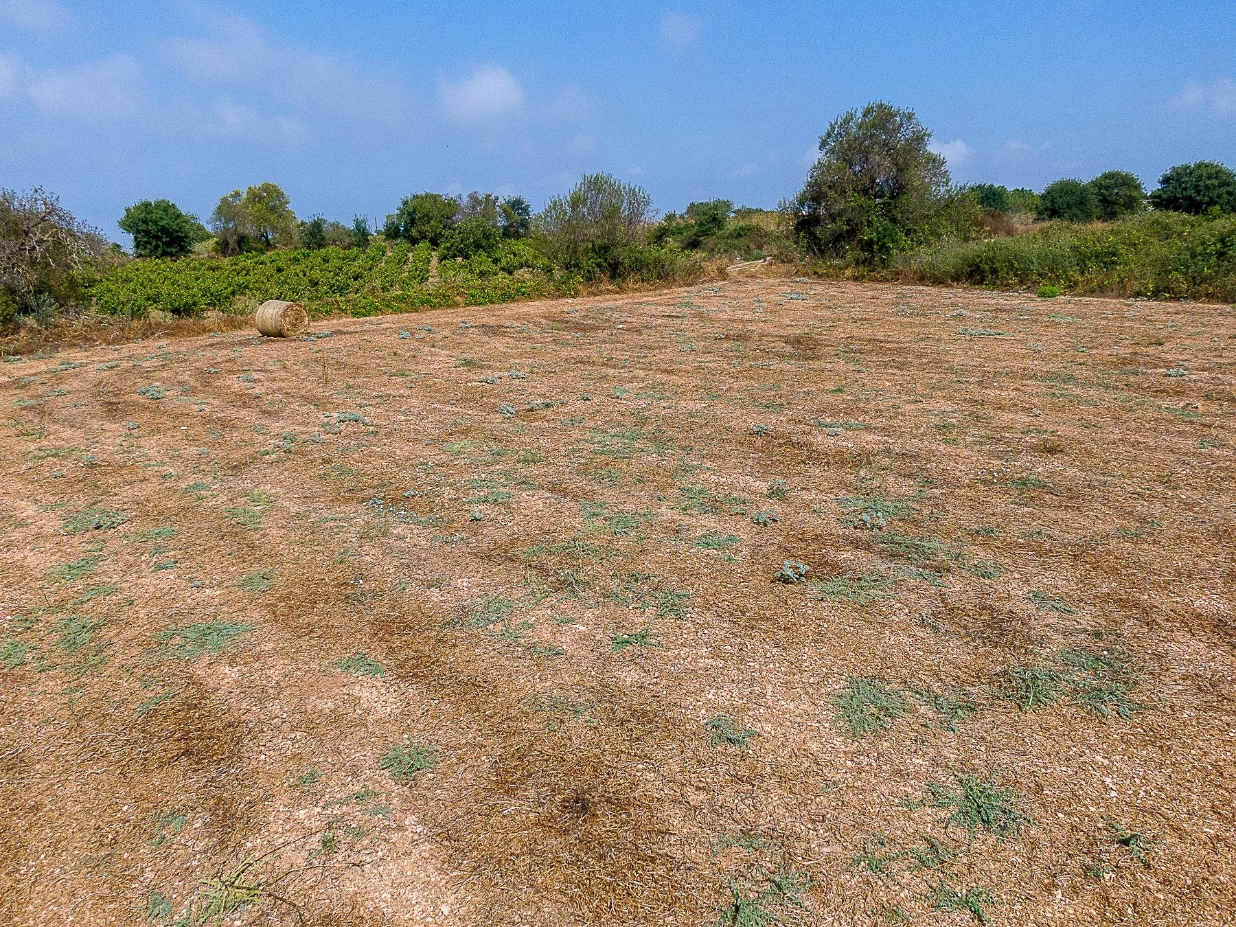 2,490m² Plot for Sale in Kathikas, Paphos District