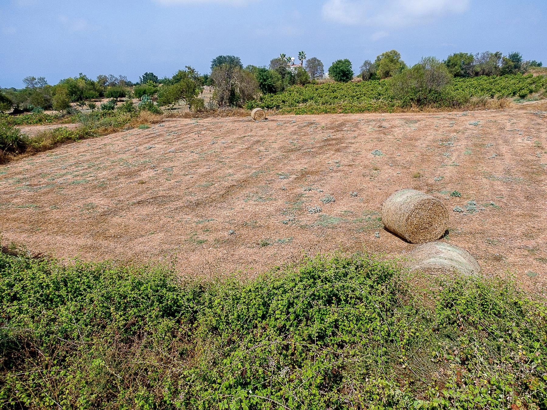 2,490m² Plot for Sale in Kathikas, Paphos District
