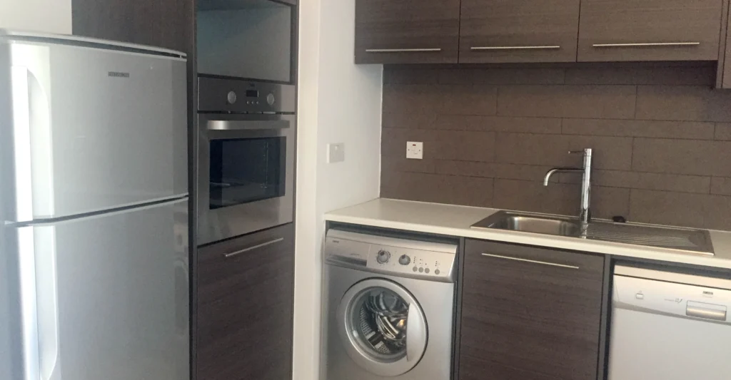2 Bedroom Apartment for Rent in Nicosia District