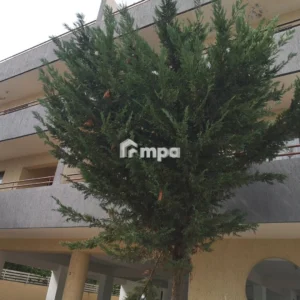 1 Bedroom Apartment for Rent in Latsia, Nicosia District