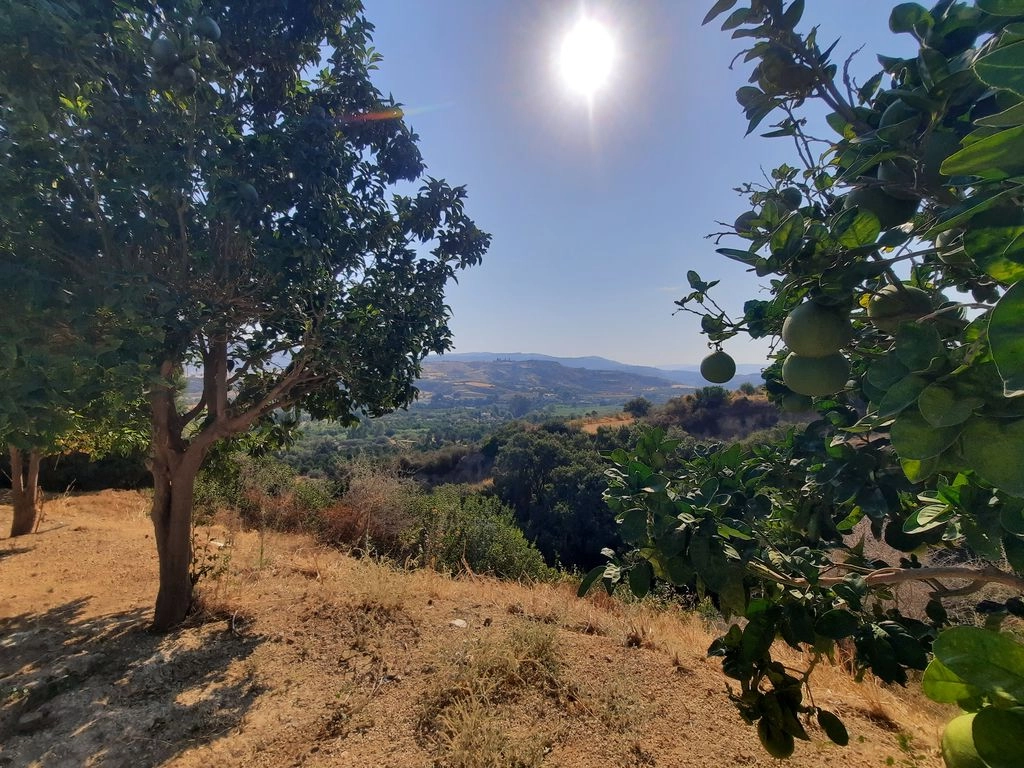 for Sale in Goudi, Paphos District