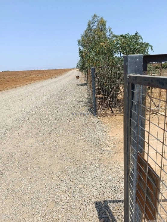 3,679m² Plot for Sale in Xylofagou, Larnaca District