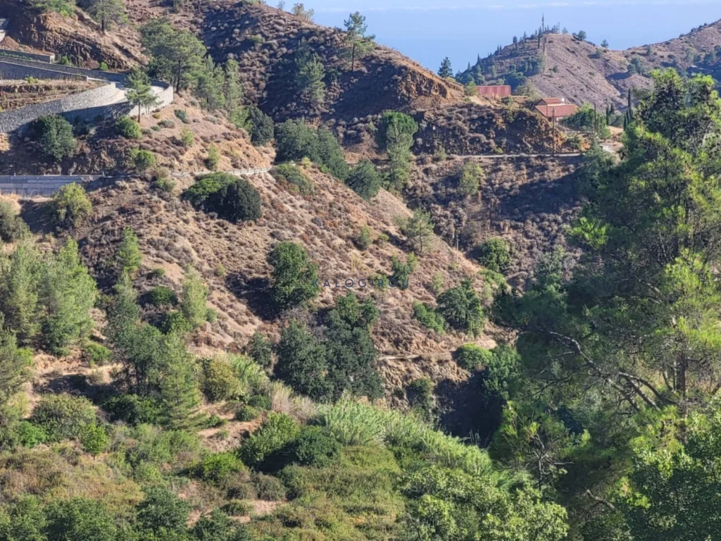 2,007m² Plot for Sale in Kakopetria, Nicosia District