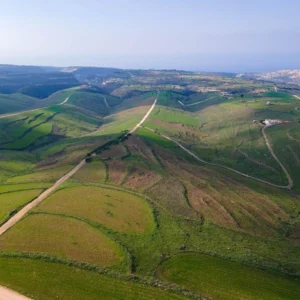 9,999m² Plot for Sale in Pano Arodes, Paphos District