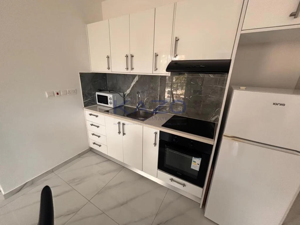 1 Bedroom Apartment for Rent in Limassol District