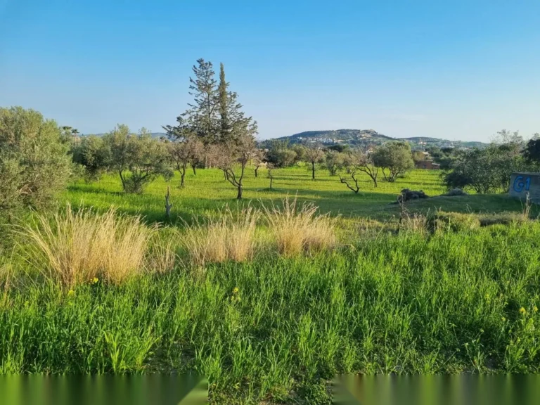 9,040m² Plot for Sale in Parekklisia, Limassol District