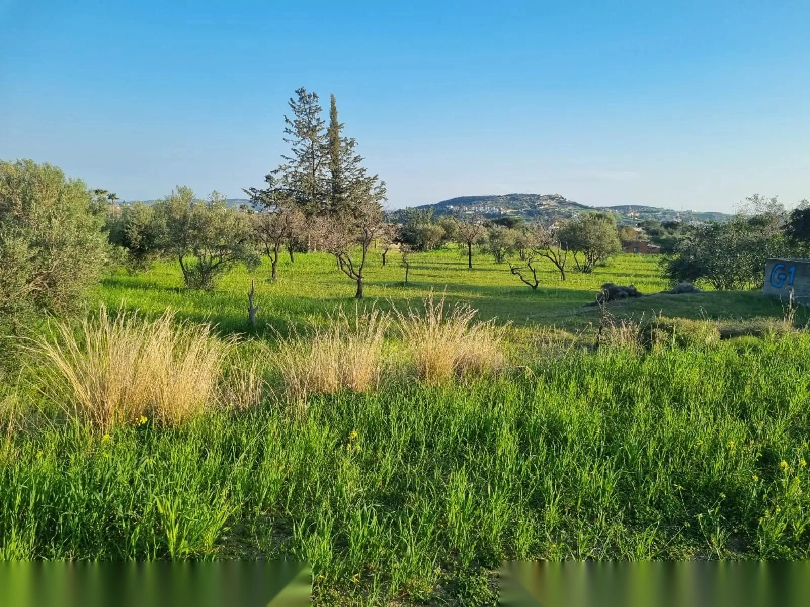 9,040m² Plot for Sale in Parekklisia, Limassol District