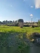 9,040m² Plot for Sale in Parekklisia, Limassol District