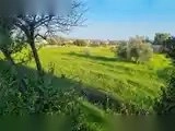 9,040m² Plot for Sale in Parekklisia, Limassol District