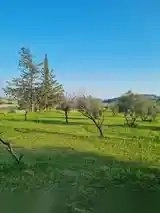 9,040m² Plot for Sale in Parekklisia, Limassol District