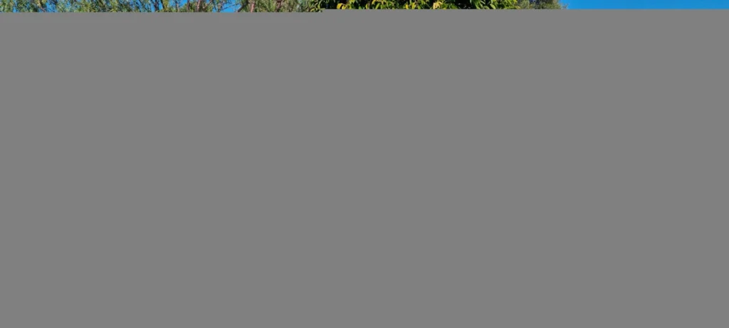 2 Bedroom House for Sale in Secret Valley, Paphos District