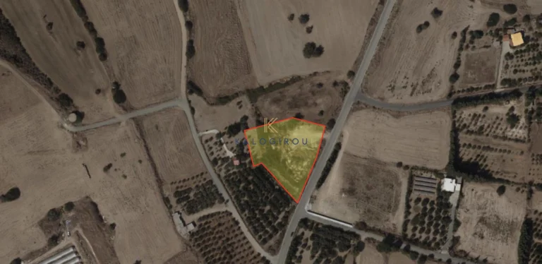 4,348m² Plot for Sale in Zygi, Larnaca District