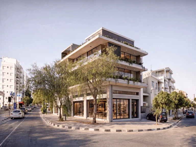 560m² Building for Sale in Limassol – Mesa Geitonia