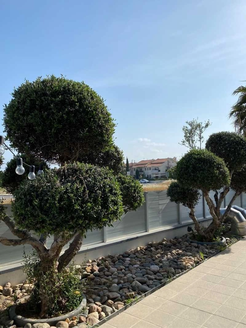 5 Bedroom House for Sale in Limassol – Linopetra