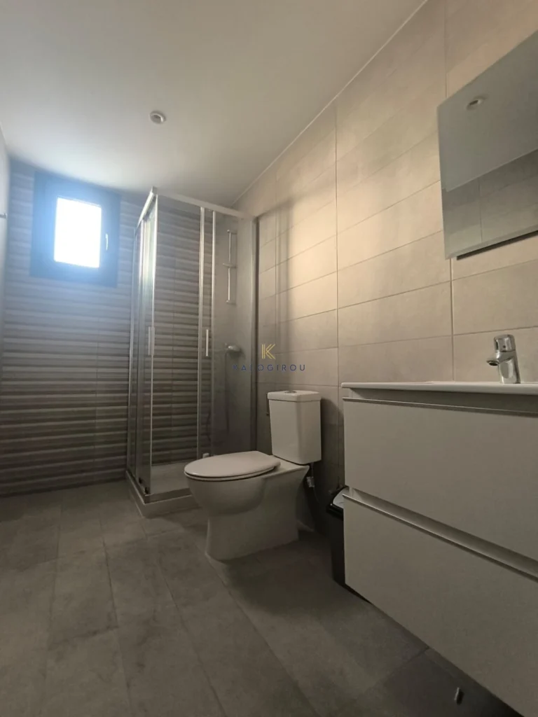 1 Bedroom Apartment for Rent in Aradippou, Larnaca District