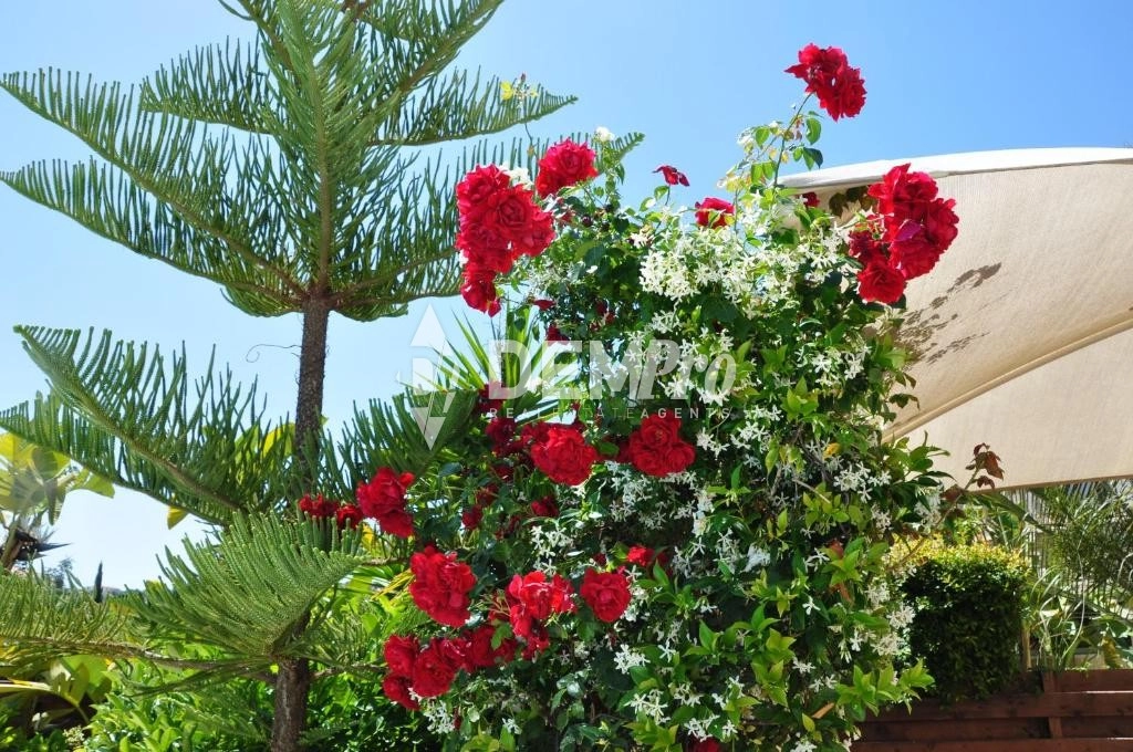 4 Bedroom House for Rent in Neo Chorio Pafou, Paphos District