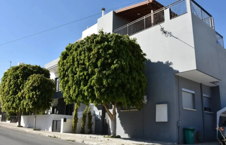 313m² Building for Sale in Limassol – Mesa Geitonia