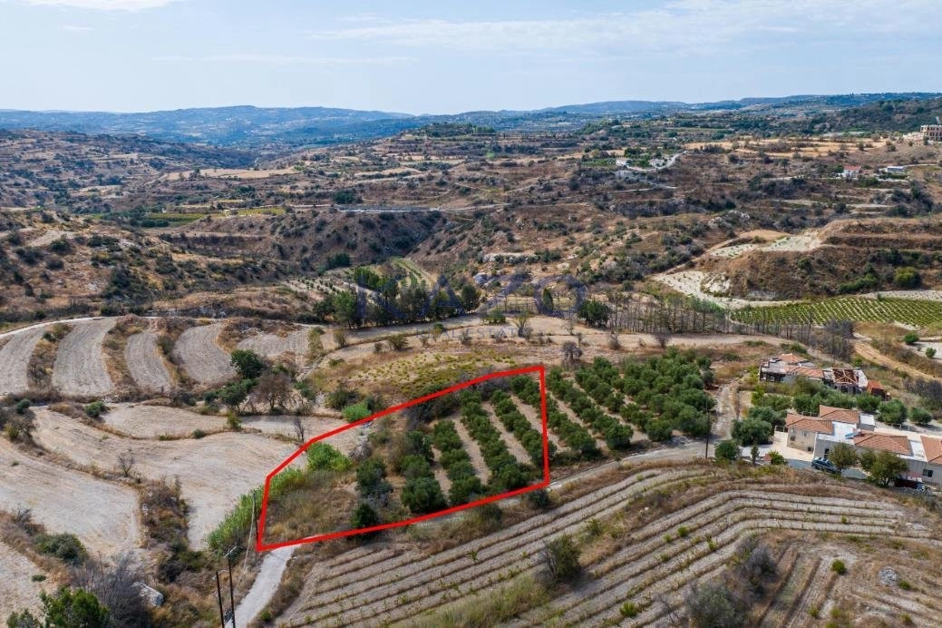 2,500m² Plot for Sale in Polemi, Paphos District