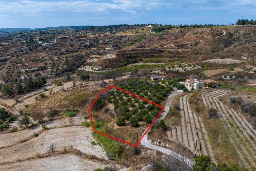 2,500m² Plot for Sale in Polemi, Paphos District