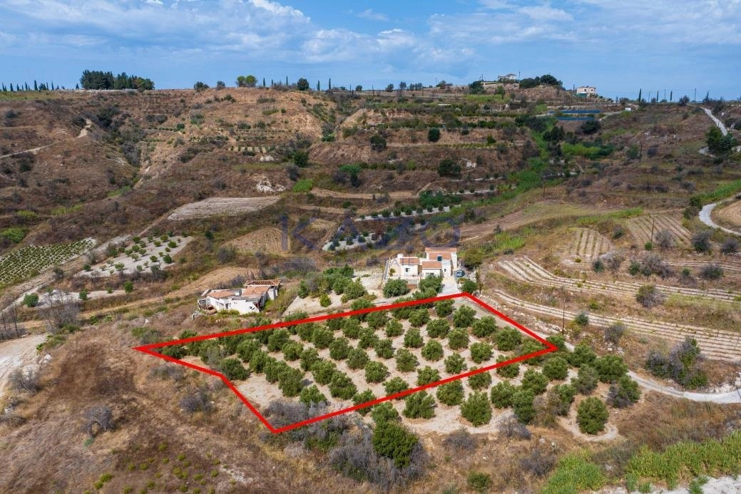 2,500m² Plot for Sale in Polemi, Paphos District