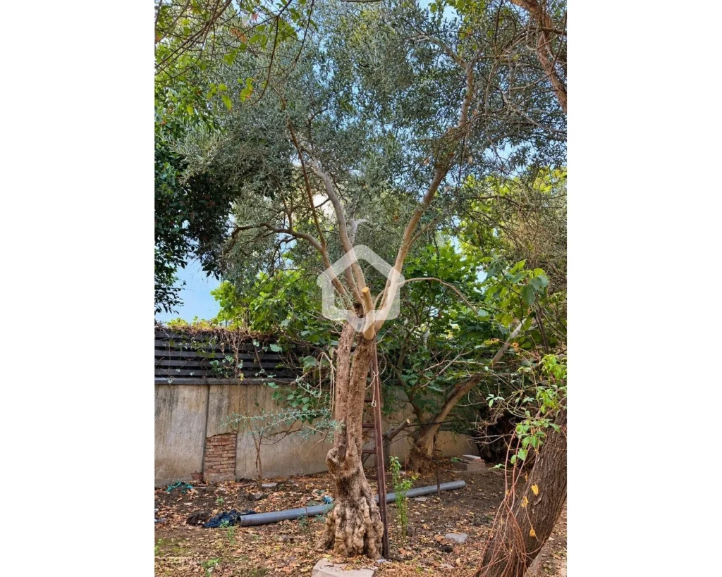 4 Bedroom House for Sale in Nicosia – Agios Andreas