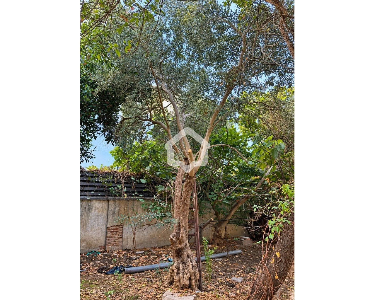 4 Bedroom House for Sale in Nicosia – Agios Andreas
