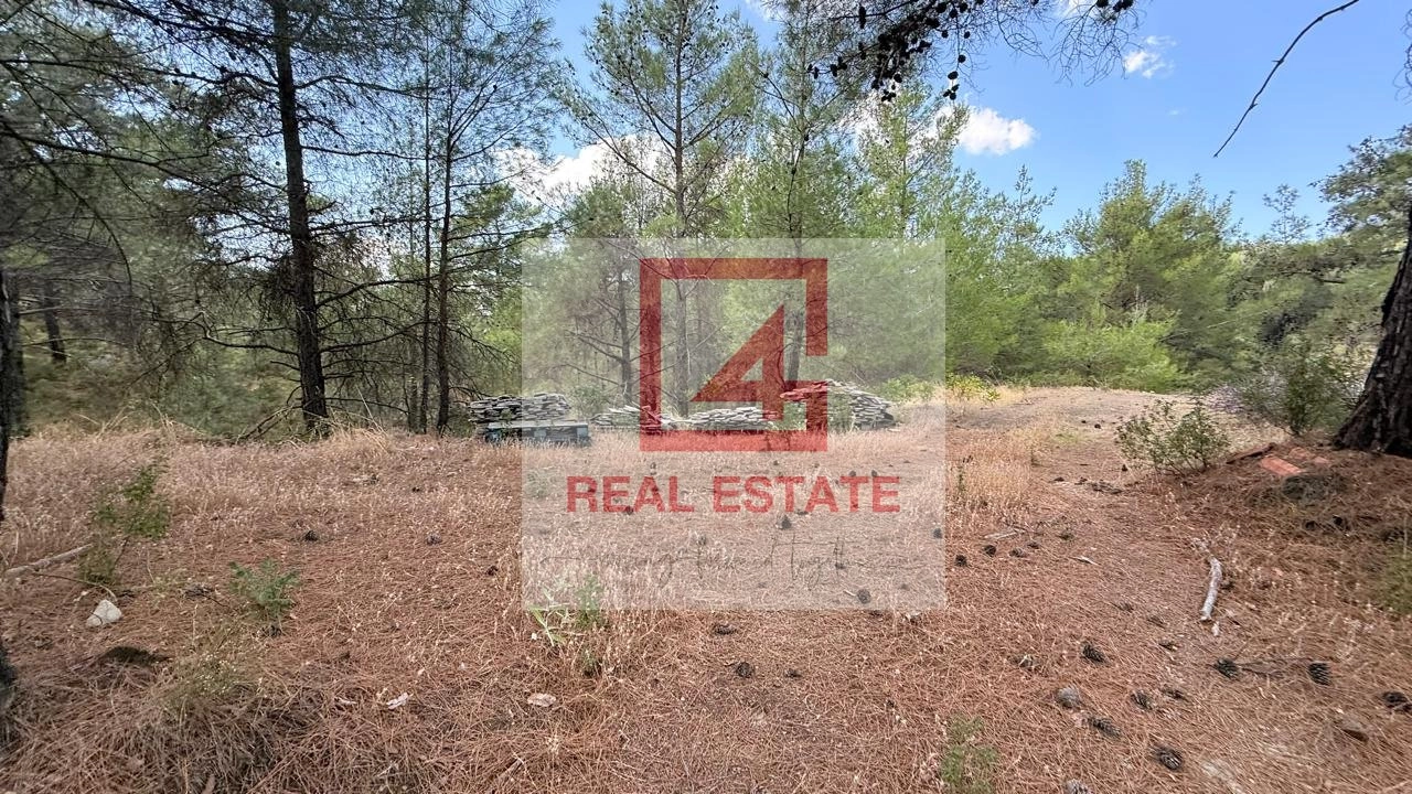 8,110m² Plot for Sale in Pano Platres, Limassol District