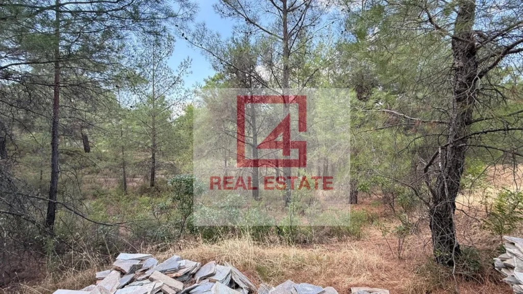 8,110m² Plot for Sale in Pano Platres, Limassol District