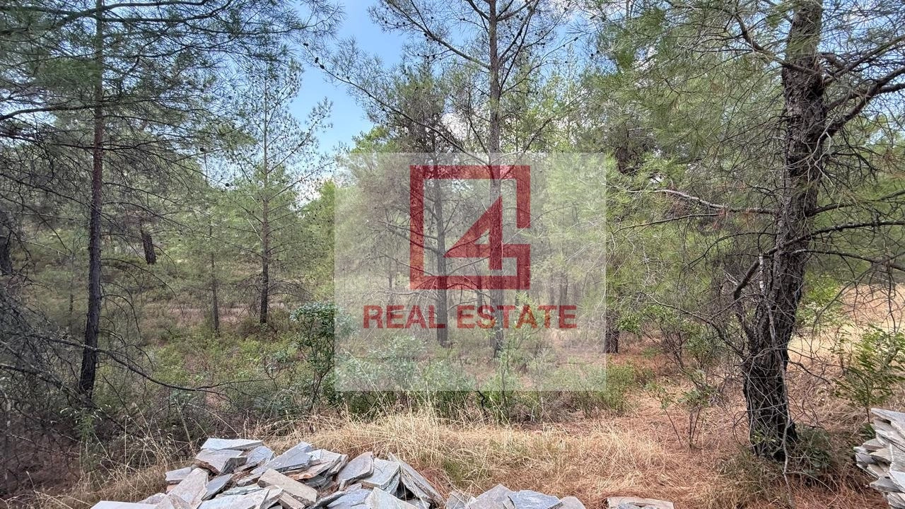 8,110m² Plot for Sale in Pano Platres, Limassol District