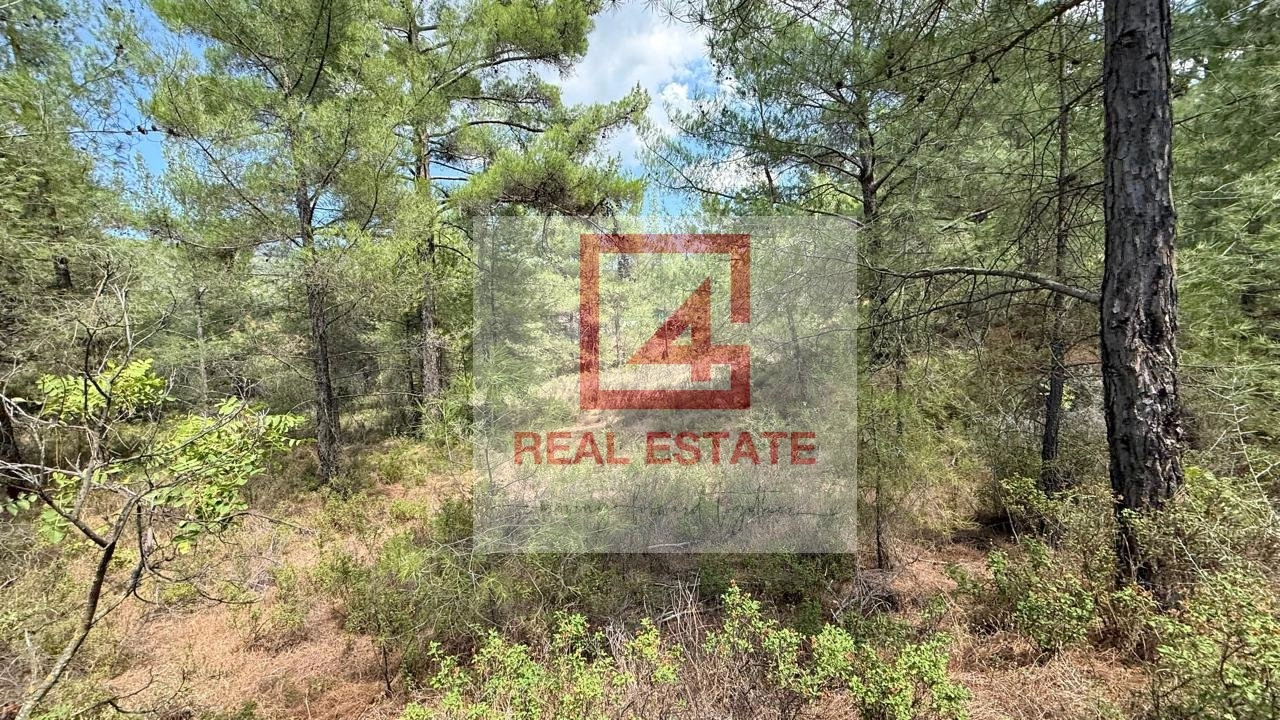 8,110m² Plot for Sale in Pano Platres, Limassol District