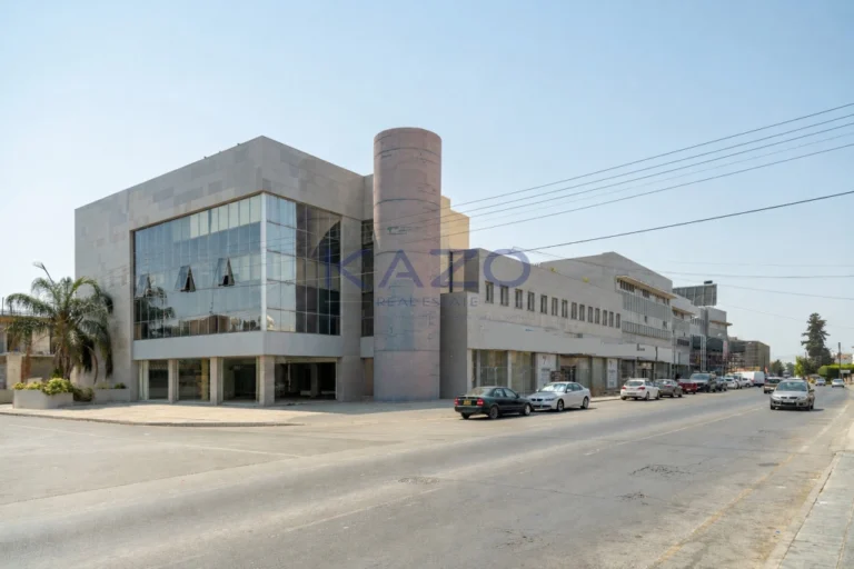 1532m² Commercial for Rent in Limassol – Zakaki