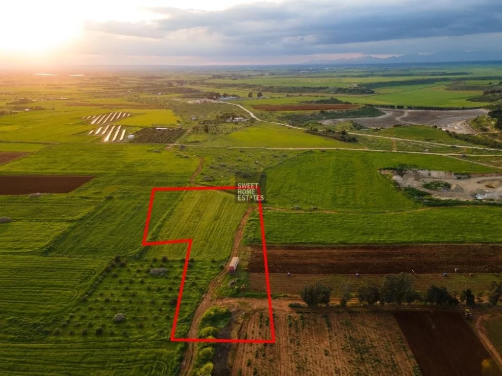 8,710m² Plot for Sale in Avgorou, Famagusta District