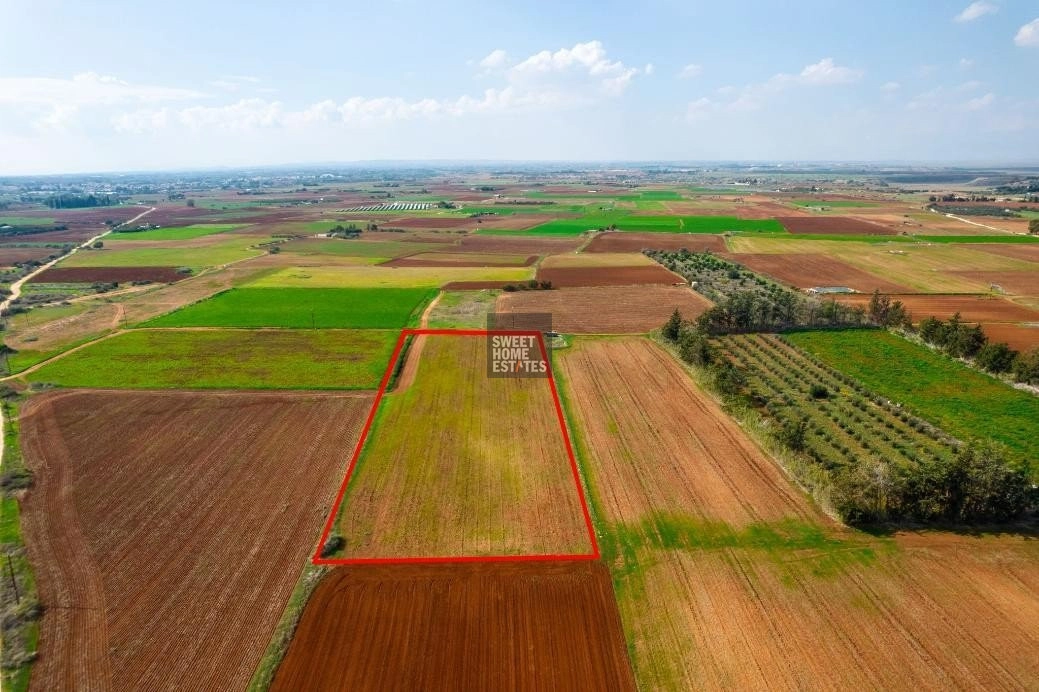 9,600m² Plot for Sale in Frenaros, Famagusta District