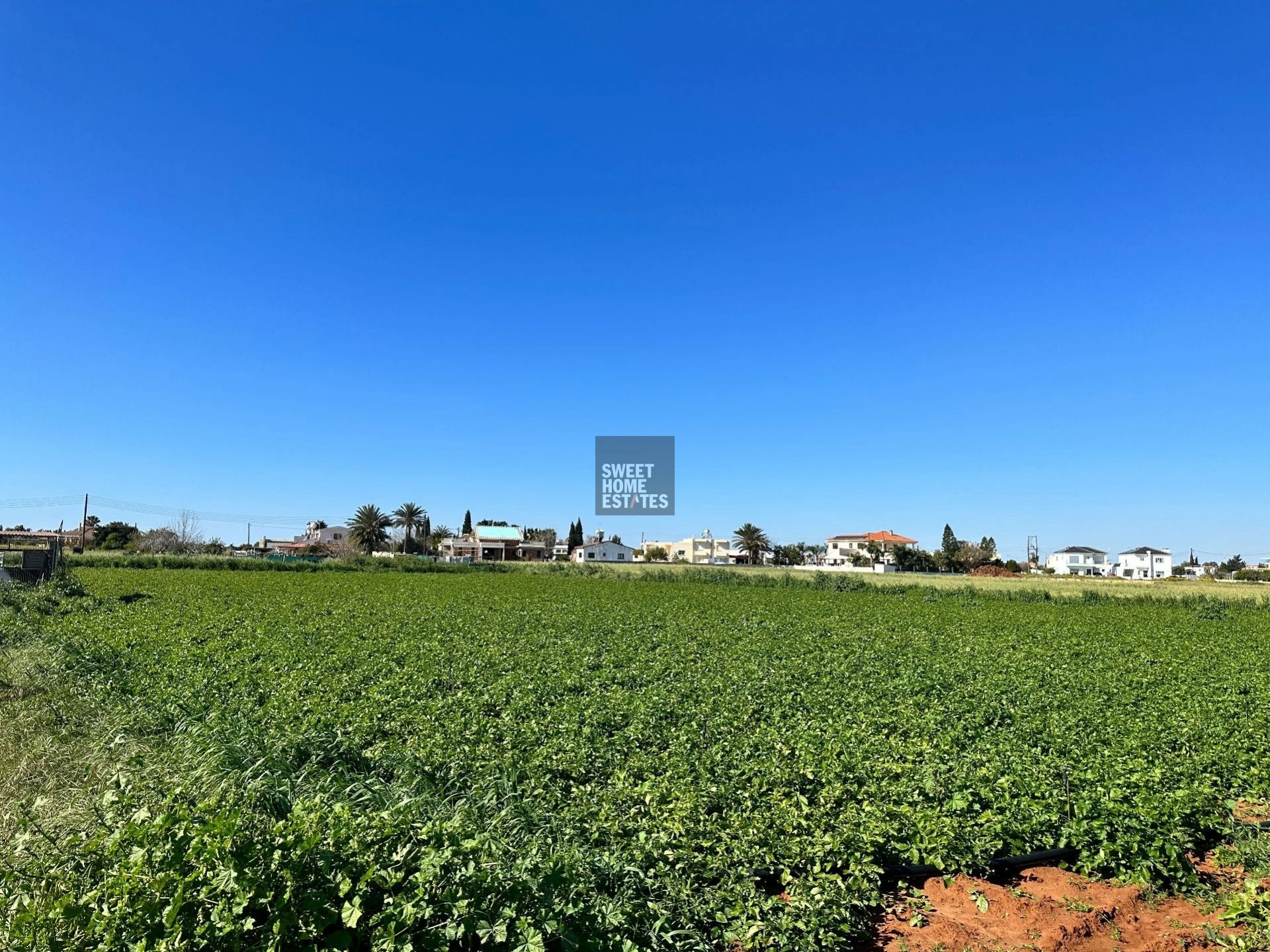 1,338m² Plot for Sale in Frenaros, Famagusta District