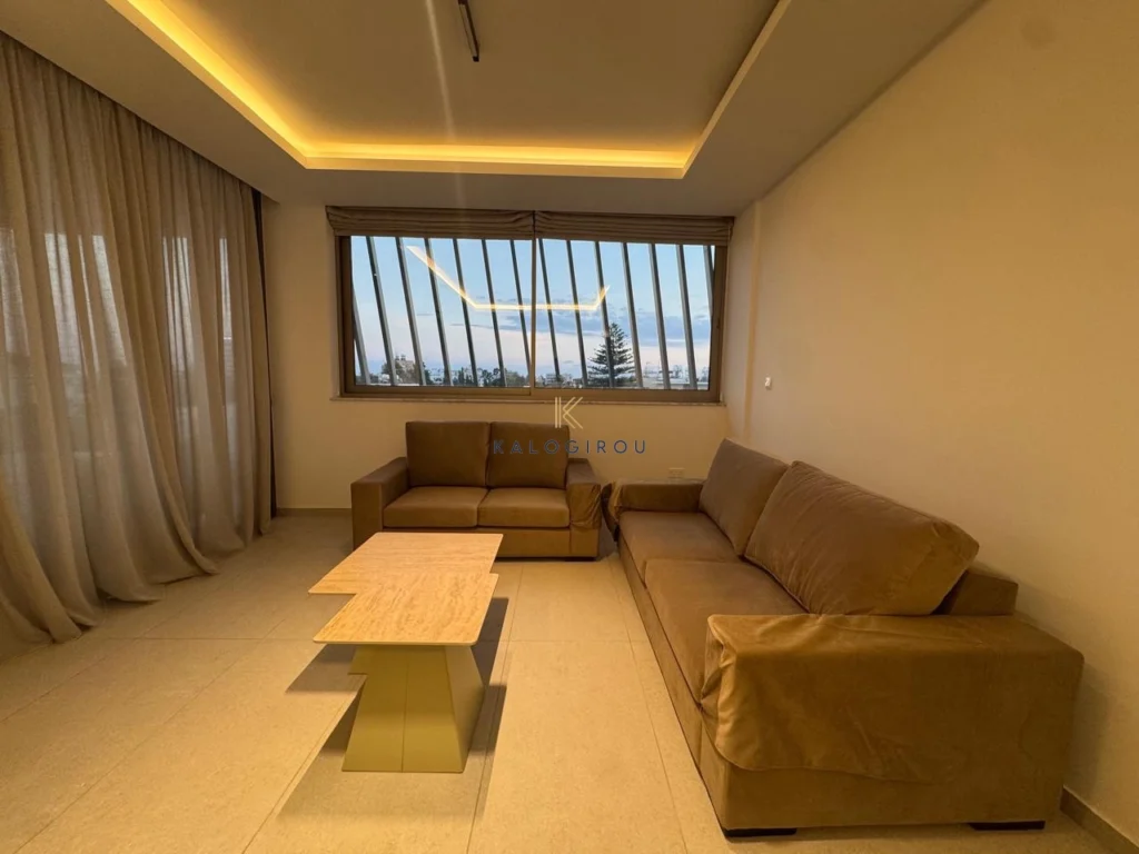 2 Bedroom Apartment for Rent in Larnaca District