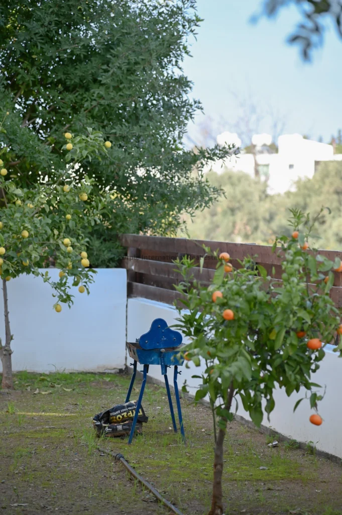 3 Bedroom House for Sale in Paphos District