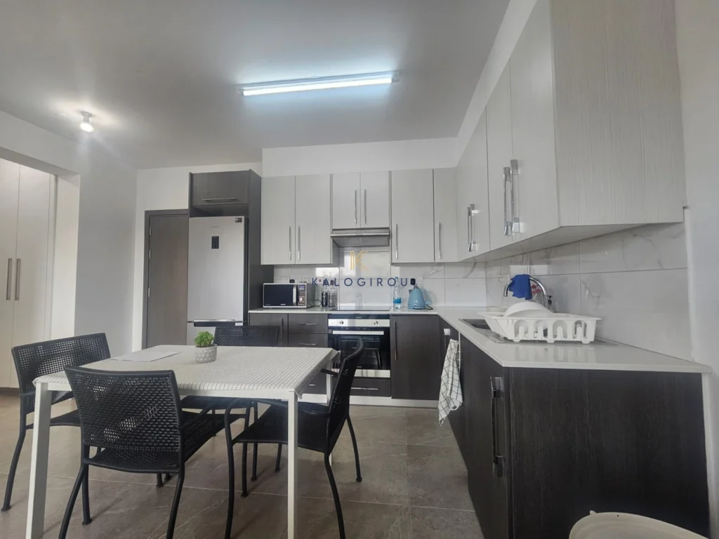 1 Bedroom Apartment for Rent in Larnaca District